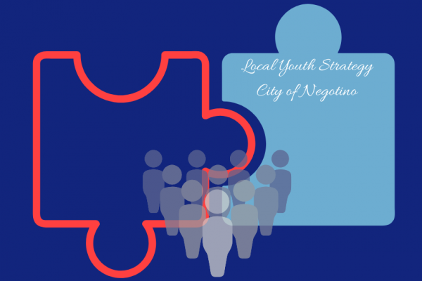 Local Youth Strategy for the City of Negotino